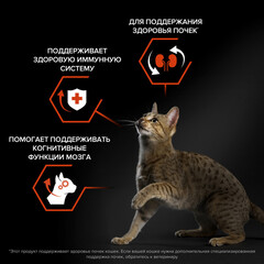 Pro Plan Original cухой корм для взрослых кошек (лосось) 1,5кг