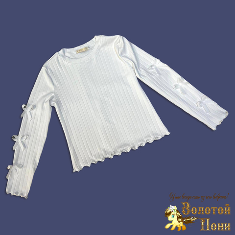 Лонгслив хлопок д (8-12) 260203-WE200