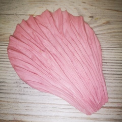 Роза Гладиолус МЛ33