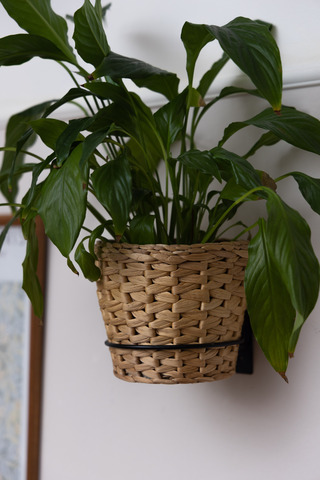 Подставка 1-я Настенная Круг большой D 15,5 см