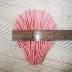 Роза Гладиолус МЛ33