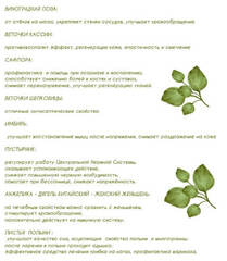 (2 PV) Carich Травяной компресс для ног (30г *30шт)