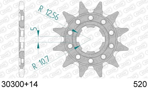 30300+14 звезда передняя (ведущая) стальная самоочищающаяся, 520, AFAM