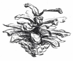 Стикер "Шишка-3"