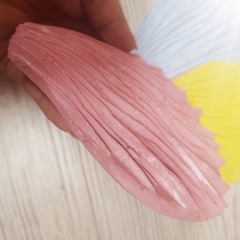 Роза Гладиолус МЛ33