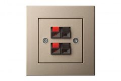 Аудио розетка Двухместная Шампань LIREGUS EPSILON