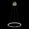 Люстра подвесная ST Luce Sorano SL1501.203.01