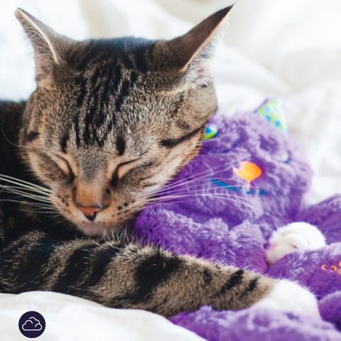 Игрушка Catstages для кошек "Мурчащая подушка" с кошачьей мятой, 30см (с МУРЧАНЬЕМ на батарейке!)