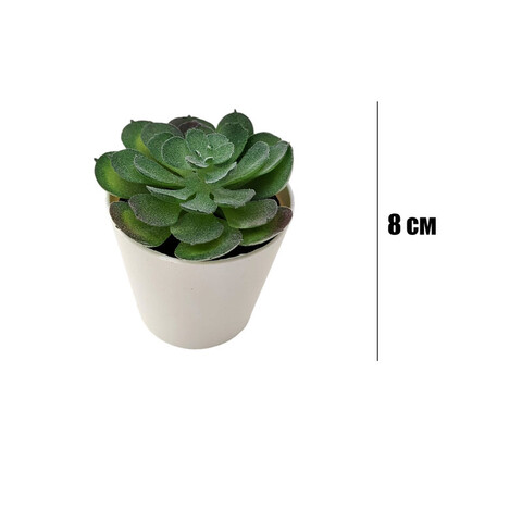 Искусственное комнатное растение в горшке Arvika, размеры: 7*8 см., полипропилен