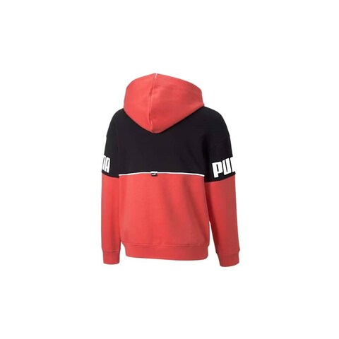 Толстовка Puma Power Colorblock Hoodie FL G