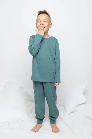 пижама  для мальчика  К 1561/24/темный малахит,палочки