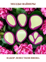 Молды пластиковые+вайнер силиконовый Набор 