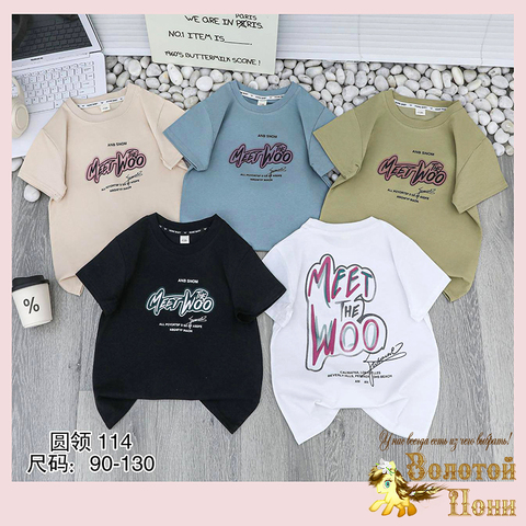 Футболка хлопок м (1-6) 260119-SL6104