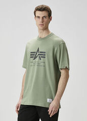 Футболка Alpha Industries Relaxed Coordinates Tee Moss (Зеленый)