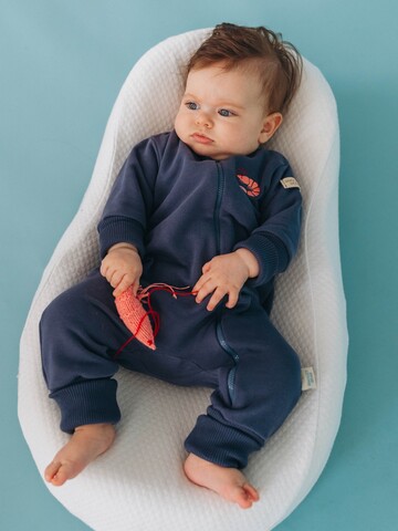 Комбинезон креветка, Черника