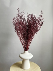 Кермек винный