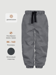 Брюки демисезонные на флисе Mjölk Graphit