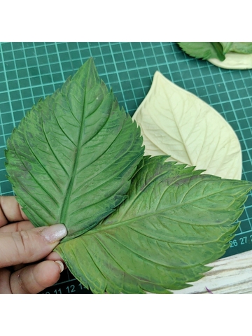 Молды пластиковые листья универсальные 3шт