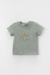 фуфайка  для мальчика  КР 302155/1/зеленый чай