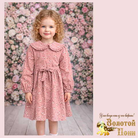 Платье хлопок д (3-7) 260203-WE211