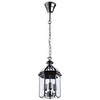 Подвес Arte Lamp Rimini A6505SP-3CC