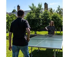 Теннисный стол DFC TORNADO, 4 мм, зеленый, с сеткой