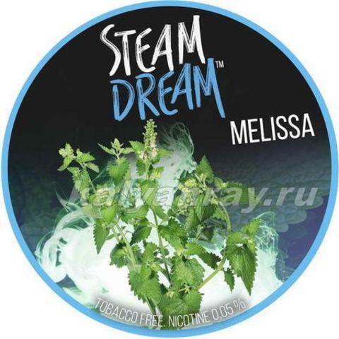 Steam Dream - Мелисса