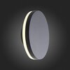 Светильник уличный ST Luce Contario SL087.401.01
