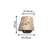 Бра Favourite Mappa 1122-1W