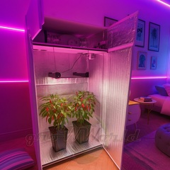 В220хД120хШ60 ГроуБокс FLASHER 200W LED SUPERSILENT + ТЕХ ОТСЕК