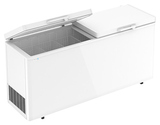 Ларь морозильный Frostor F 800 SD
