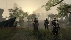 The Elder Scrolls Online: Tamriel Unlimited - Crown Edition (диск для PS4, полностью на английском языке)