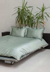 Постельное белье 1.5 спальное Luxberry Daily Bedding полынь