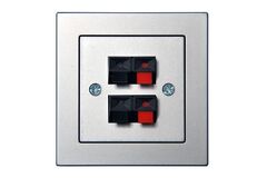 Аудио розетка Двухместная Серебро LIREGUS EPSILON