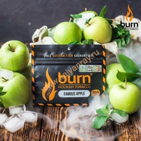 Burn Famous Apple