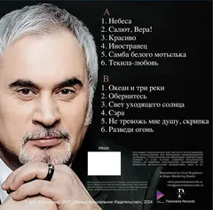 Виниловая пластинка. Валерий Меладзе - Лучшие песни