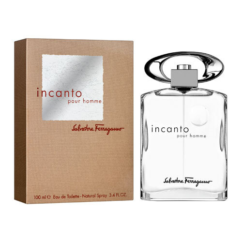 Incanto pour homme salvatore ferragamo top