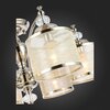 Люстра потолочная ST Luce Coresia SL1750.102.06