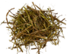 Подмаренник цепкий