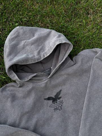 Худи Miracle Apparel Surf Eagle вареный серое