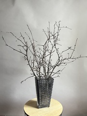 Ветки плодовые