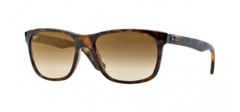 Ray-Ban RB4181 710/51