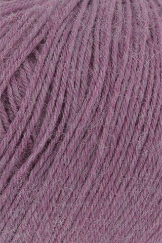 Lang Alpaca Soxx 065