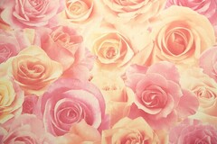 Обои 714-55 Rose Melody Palitra Home