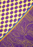 Шарф ETRO