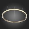 Люстра подвесная ST Luce Sorano SL1501.203.01