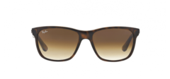 Ray-Ban RB4181 710/51