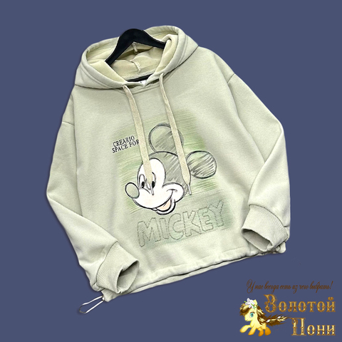 Толстовка начес д (5-9) 251023-GN579