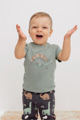 фуфайка  для мальчика  КР 302155/1/зеленый чай