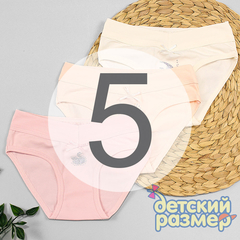5 (9-10 лет)